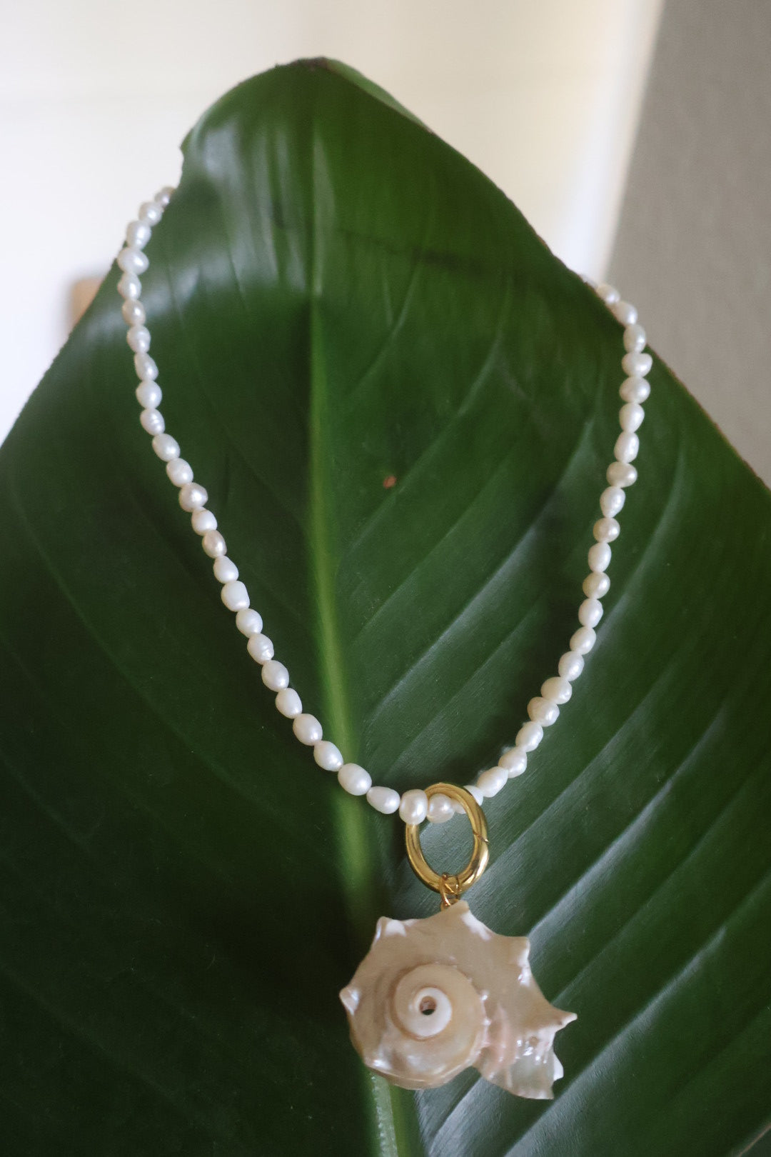 Chunky Seashell Necklace