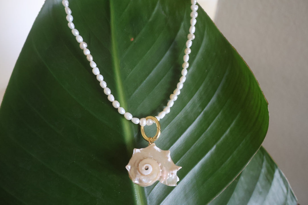 Chunky Seashell Necklace